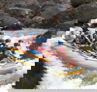 Barron River Half-Day White Water Rafting from Cairns - Maitland Accommodation