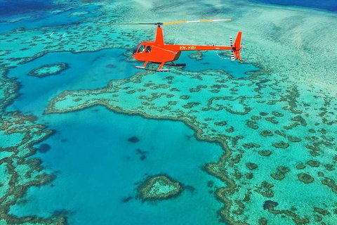 Whitehaven Heli Tour - Maitland Accommodation 3