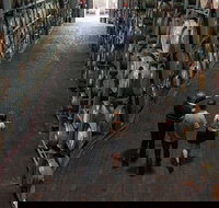 Wirra Wirra Vineyard McLaren Vale Winery Tour and Shiraz Masterclass - Maitland Accommodation