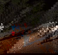 Alice Springs Desert Park Nocturnal Tour - Maitland Accommodation