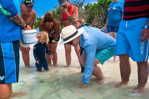 Whitehaven Beach And Hamilton Island Cruise - Maitland Accommodation 1