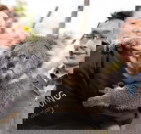 Bonorong Wildlife Park and Richmond Afternoon Tour from Hobart - Maitland Accommodation