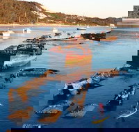 Adventure Moreton Island Wrecks Adventure Package - Maitland Accommodation