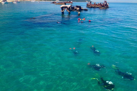 Adventure Moreton Island Scuba Dive Tour - Maitland Accommodation 0