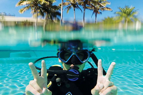 Adventure Moreton Island Scuba Dive Tour - Maitland Accommodation 2