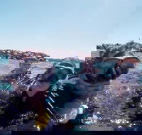 Wave Break Island Scuba Diving on the Gold Coast - Maitland Accommodation