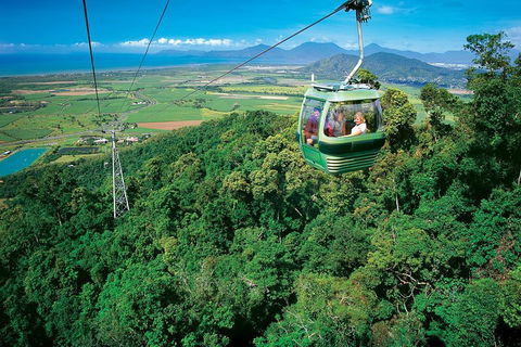 Cairns ATV Adventure Tour And Morning Skyrail - Maitland Accommodation 2