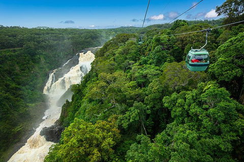 Cairns ATV Adventure Tour And Morning Skyrail - Maitland Accommodation 3