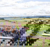 Private Tour of Melbourne - Maitland Accommodation