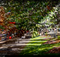 Fully Inclusive Blue Mountains Private Tour inc Scenic World  Featherdale entry - Maitland Accommodation