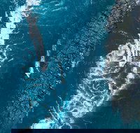 Cygnet Bay Explorer - Maitland Accommodation