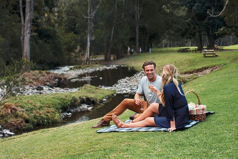 Mt Tamborine - Hinterland Wonders Self Guided - Maitland Accommodation 0