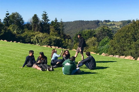 Mt Tamborine - Hinterland Wonders Self Guided - Maitland Accommodation 1