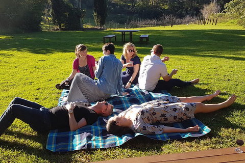 Mt Tamborine - Hinterland Wonders Self Guided - Maitland Accommodation 2