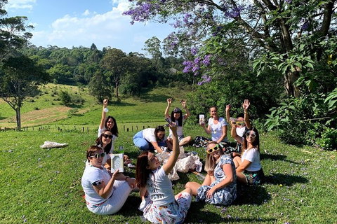 Mt Tamborine - Hinterland Wonders Self Guided - Maitland Accommodation 5