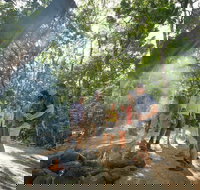 Mossman Gorge Adventure Day - Maitland Accommodation