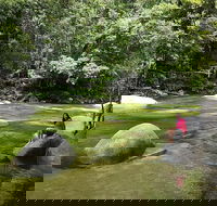 Daintree Dreaming Traditional Aboriginal Fishing from Cairns or Port Douglas - Maitland Accommodation