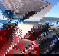 Adventure Rottnest Tour with Ferry  Adventure Cruise from Perth or Fremantle - Maitland Accommodation