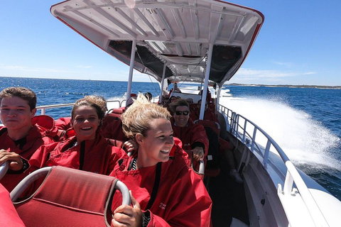 Adventure Rottnest Tour With Ferry & Adventure Cruise From Perth Or Fremantle - Maitland Accommodation 0