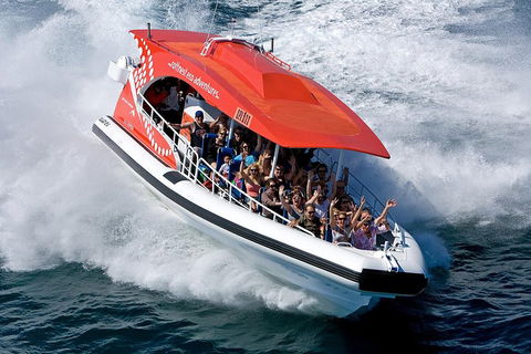 Adventure Rottnest Tour With Ferry & Adventure Cruise From Perth Or Fremantle - Maitland Accommodation 2