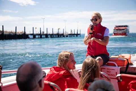 Adventure Rottnest Tour With Ferry & Adventure Cruise From Perth Or Fremantle - Maitland Accommodation 4