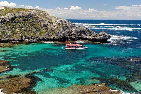 Adventure Rottnest Tour With Ferry & Adventure Cruise From Perth Or Fremantle - Maitland Accommodation 5