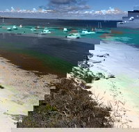 Experience Rottnest with Ferry  Bike Hire from Perth or Fremantle - Maitland Accommodation