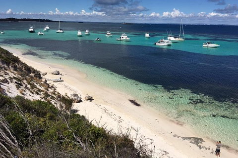 Experience Rottnest With Ferry & Bike Hire From Perth Or Fremantle - Maitland Accommodation 0