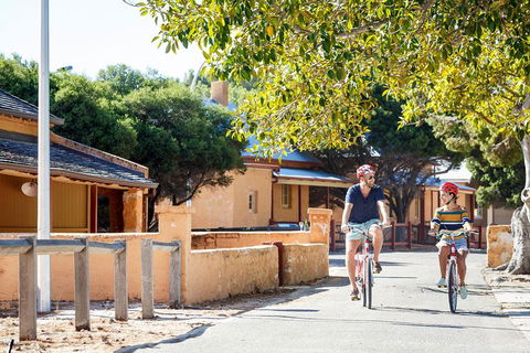Experience Rottnest With Ferry & Bike Hire From Perth Or Fremantle - Maitland Accommodation 1
