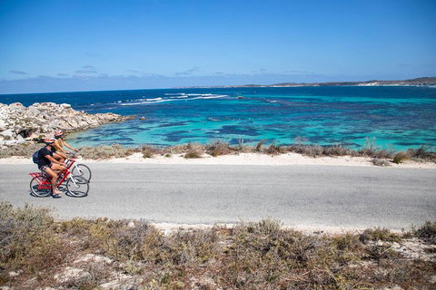 Experience Rottnest With Ferry & Bike Hire From Perth Or Fremantle - Maitland Accommodation 2