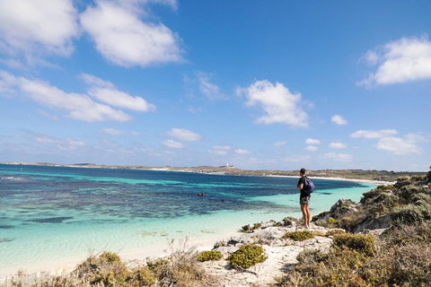 Experience Rottnest With Ferry & Bike Hire From Perth Or Fremantle - Maitland Accommodation 3