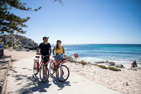 Experience Rottnest With Ferry & Bike Hire From Perth Or Fremantle - Maitland Accommodation 4
