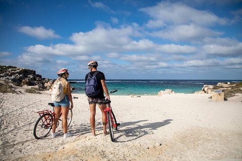 Experience Rottnest With Ferry & Bike Hire From Perth Or Fremantle - Maitland Accommodation 5