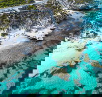 Rottnest Island Round-Trip Ferry from Perth or Fremantle - Maitland Accommodation