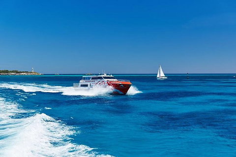 Rottnest Island Round-Trip Ferry From Perth Or Fremantle - Maitland Accommodation 4