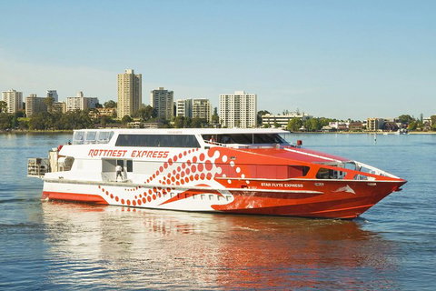 Rottnest Island Round-Trip Ferry From Perth Or Fremantle - Maitland Accommodation 5