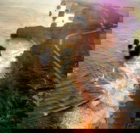 Full-Day Great Ocean Road and 12 Apostles Sunset Tour from Melbourne - Maitland Accommodation