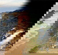 Melbourne Super Saver Great Ocean Road  Phillip Island  Attraction Pass - Maitland Accommodation