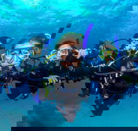 Great Barrier Reef Diving and Snorkeling Cruise from Cairns - Maitland Accommodation