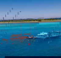 Ocean Free Green Island  Great Barrier Reef Snorkel Cruise Cairns 25 guests - Maitland Accommodation