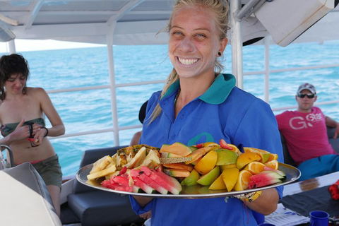 Ocean Free Green Island & Great Barrier Reef Snorkel Cruise, Cairns 25 Guests - Maitland Accommodation 1