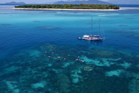 Ocean Free Green Island & Great Barrier Reef Snorkel Cruise, Cairns 25 Guests - Maitland Accommodation 2