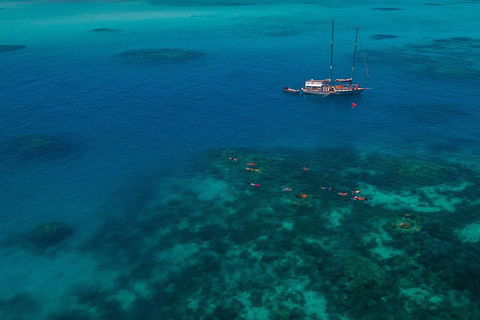 Ocean Free Green Island & Great Barrier Reef Snorkel Cruise, Cairns 25 Guests - Maitland Accommodation 5