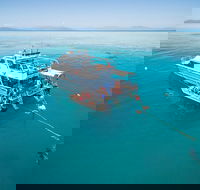 Ocean Freedom Great Barrier Reef Personal Luxury Snorkel  Dive Cruise Cairns - Maitland Accommodation