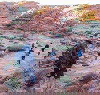 6 Day Red Centre Explorer with Accommodation - Maitland Accommodation