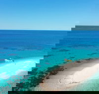 Ocean Safari Great Barrier Reef Experience in Cape Tribulation - Maitland Accommodation