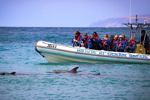 Kangaroo Island 75-Minute Ocean Safari - Maitland Accommodation 4