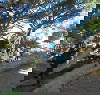 1/2 day Swan Valley Wine Cheese  Chocolate Tour Inc Afternoon Cruise to Perth - Maitland Accommodation