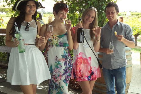 1/2 Day Swan Valley Wine Cheese & Chocolate Tour Inc Afternoon Cruise To Perth - Maitland Accommodation 4