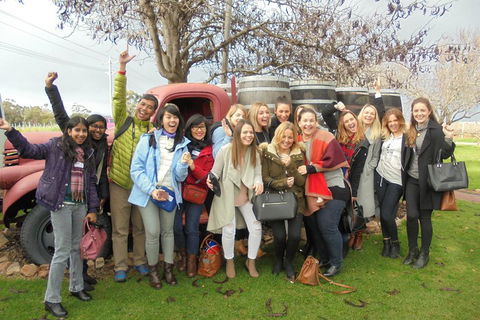 1/2 Day Swan Valley Wine Cheese & Chocolate Tour Inc Afternoon Cruise To Perth - Maitland Accommodation 5